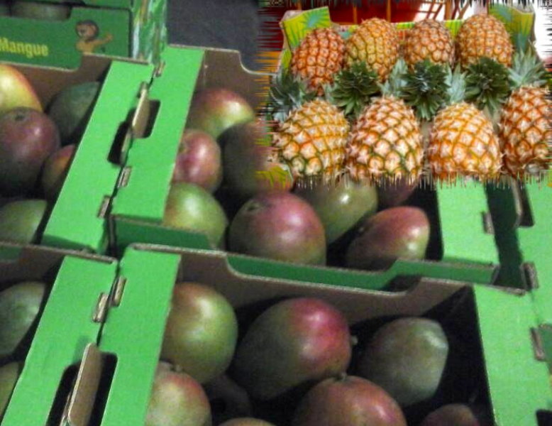 AGRO INDUSTRIE
